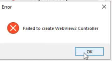 webView2